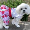 Strawberry Picnic  Harness Dress with Matching Leash