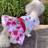 Strawberry Picnic  Harness Dress with Matching Leash