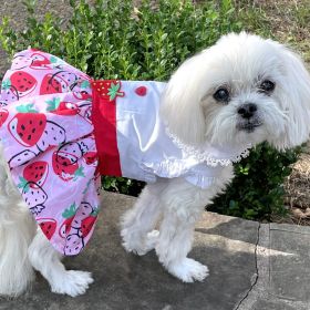 Strawberry Picnic  Harness Dress with Matching Leash (size: large)